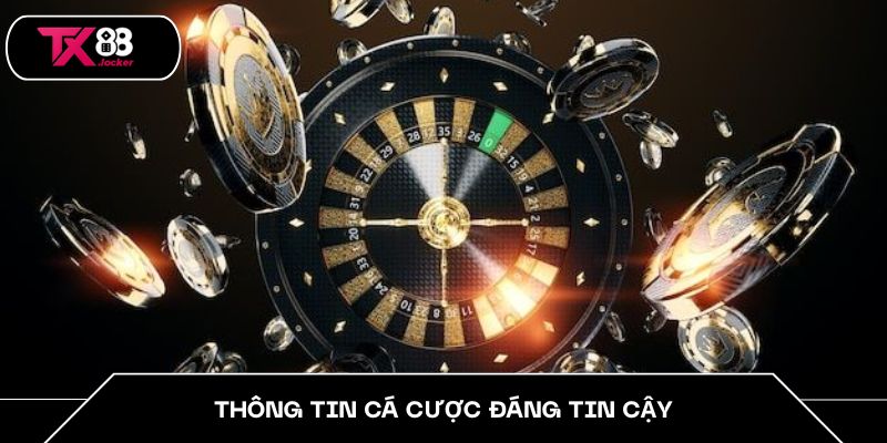 Thông tin cá cược đáng tin cậy
