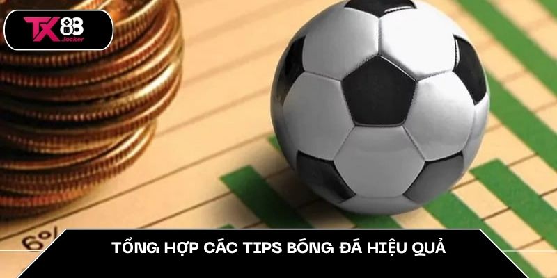 Tổng hợp các tips bóng đá hiệu quả